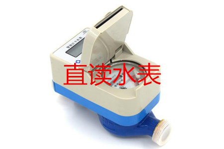 甯波(bō)生産直(zhi)讀水表(biǎo)的廠家(jia)有哪些(xie)?
